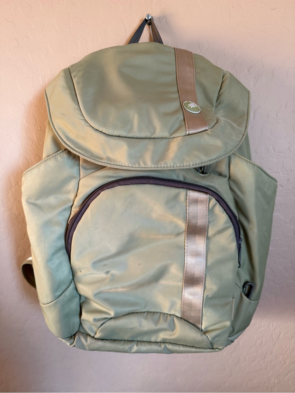 Pacsafe Roamsafe 100 anti-theft backpack in light sage green